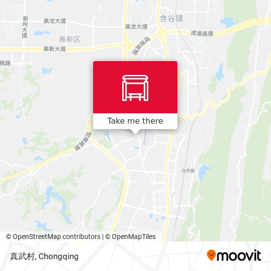 真武村 map