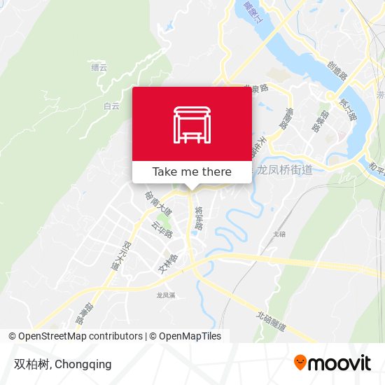 双柏树 map