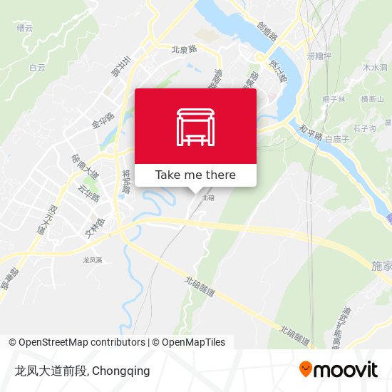龙凤大道前段 map