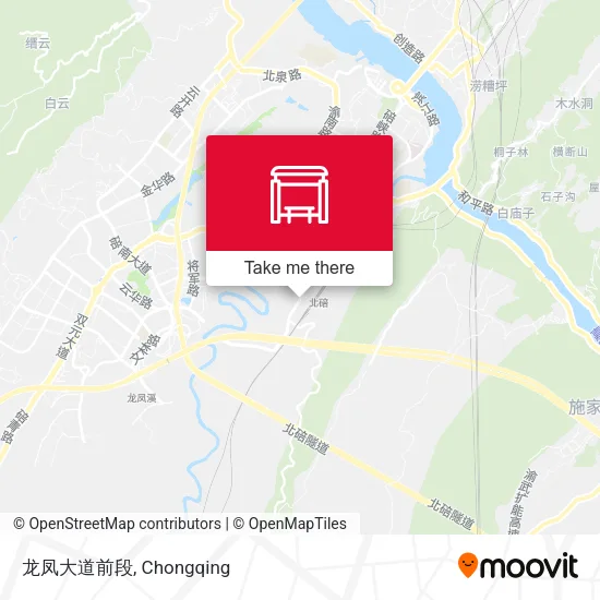 龙凤大道前段 map