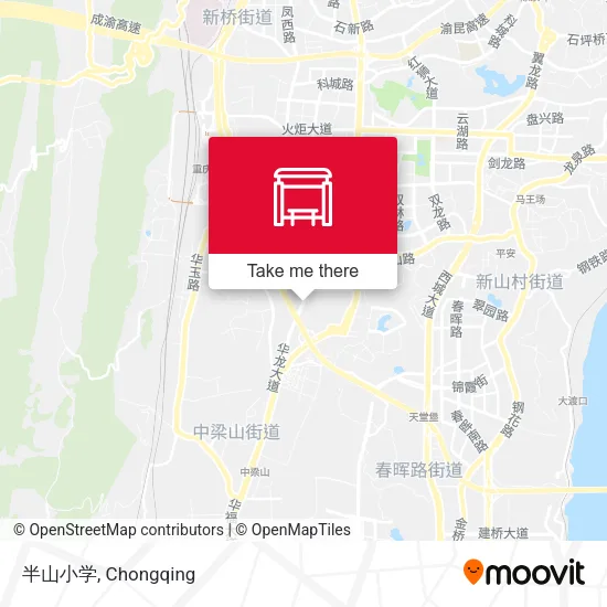 半山小学 map