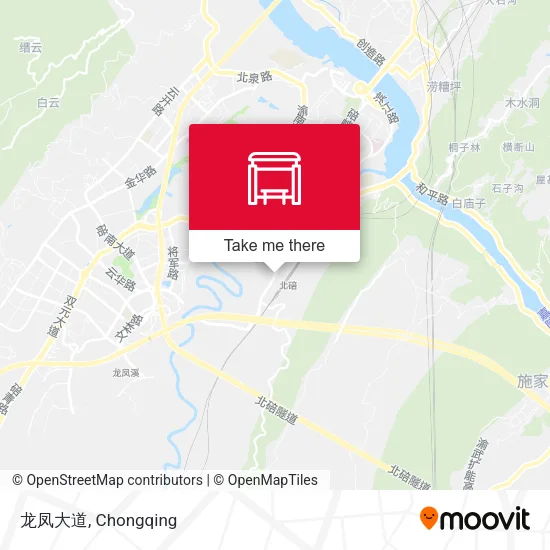 龙凤大道 map