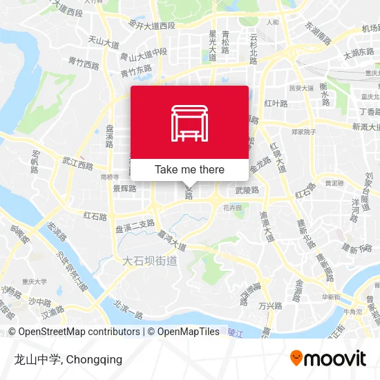 龙山中学 map