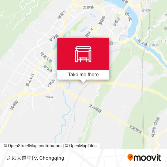 龙凤大道中段 map