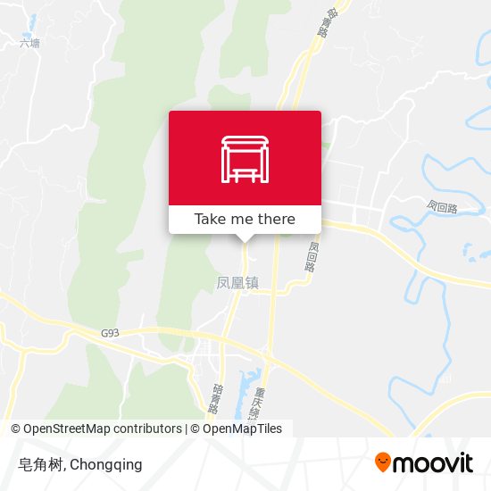 皂角树 map