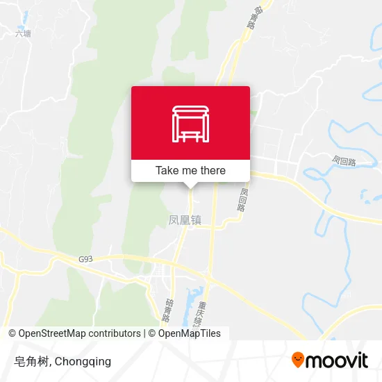 皂角树 map