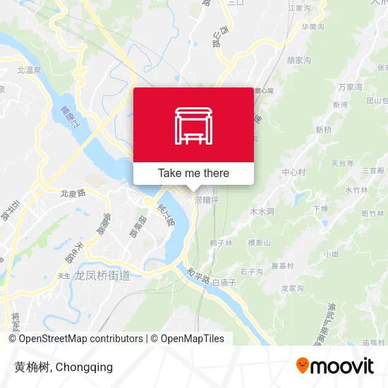 黄桷树 map