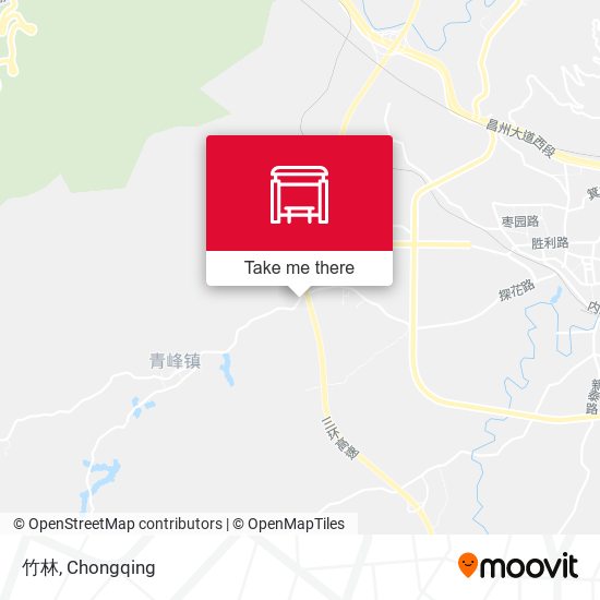 竹林 map