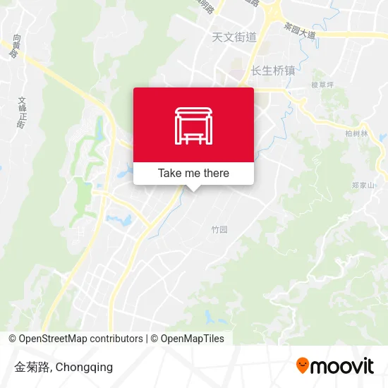 金菊路 map