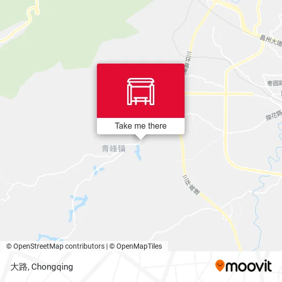大路 map