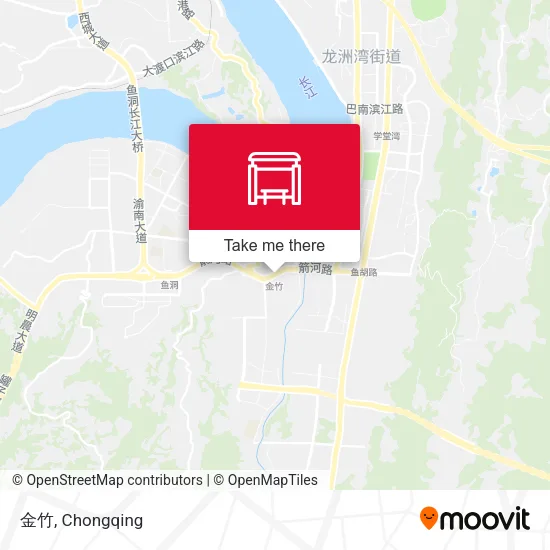 金竹 map