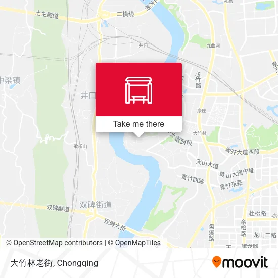 大竹林老街 map