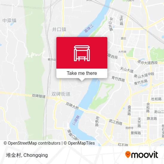 堆金村 map