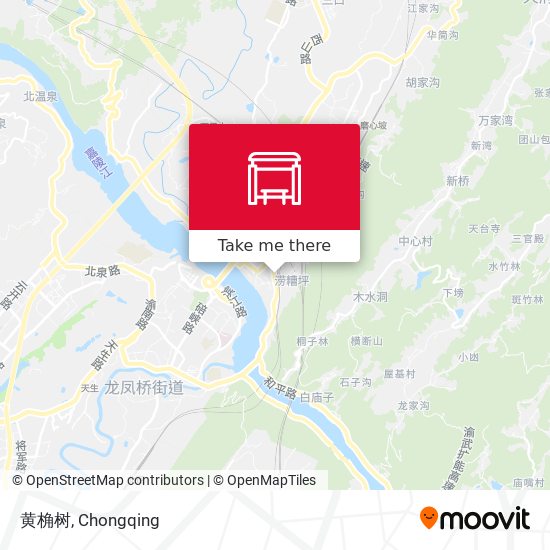 黄桷树 map