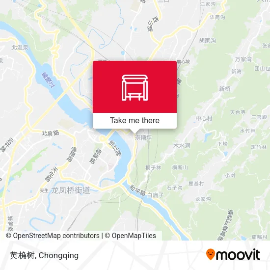 黄桷树 map
