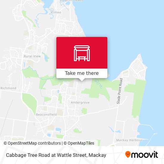 Cabbage Tree Road at Wattle Street map