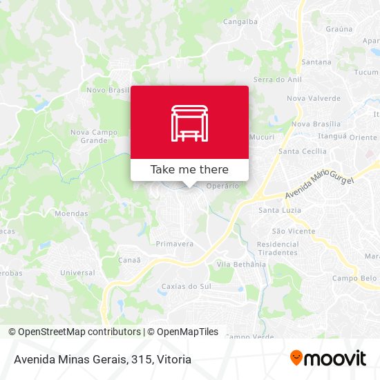 Avenida Minas Gerais, 315 map