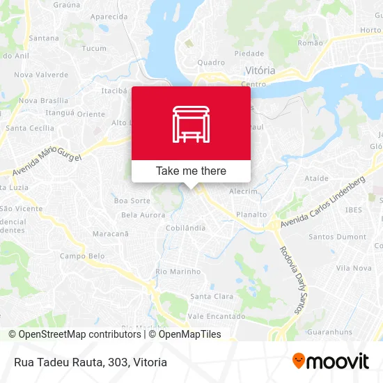 Rua Tadeu Rauta, 303 map