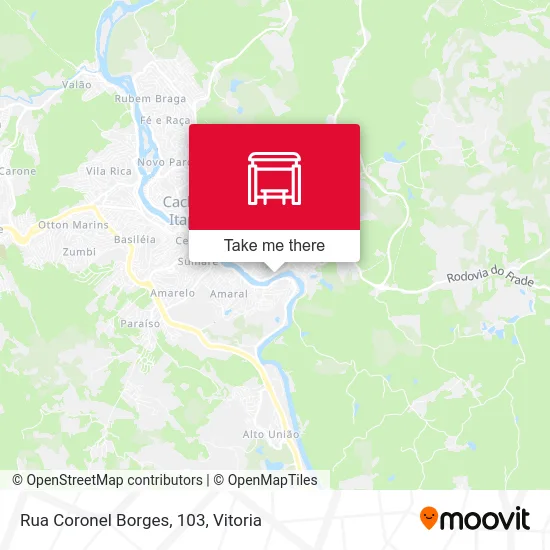 Rua Coronel Borges, 103 map