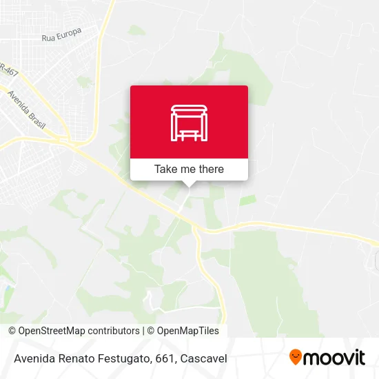 Avenida Renato Festugato, 661 map