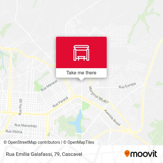 Rua Emília Galafassi, 79 map