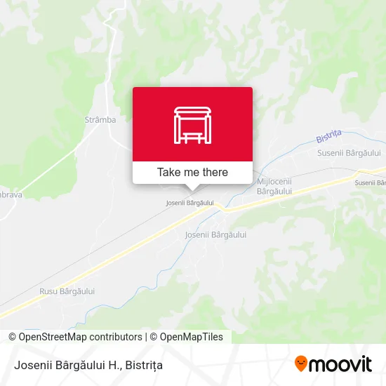 Josenii Bârgăului H. map