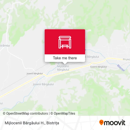 Mijlocenii Bârgăului H. map