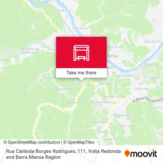 Rua Carlinda Borges Rodrigues, 111 map