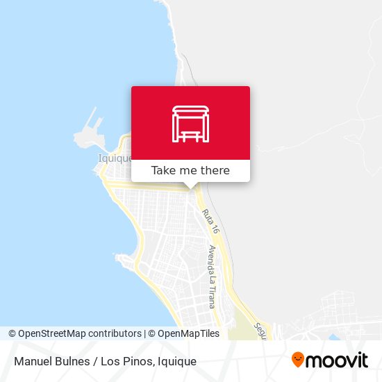 Manuel Bulnes / Los Pinos map