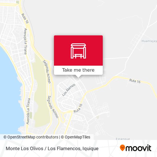 Monte Los Olivos / Los Flamencos map