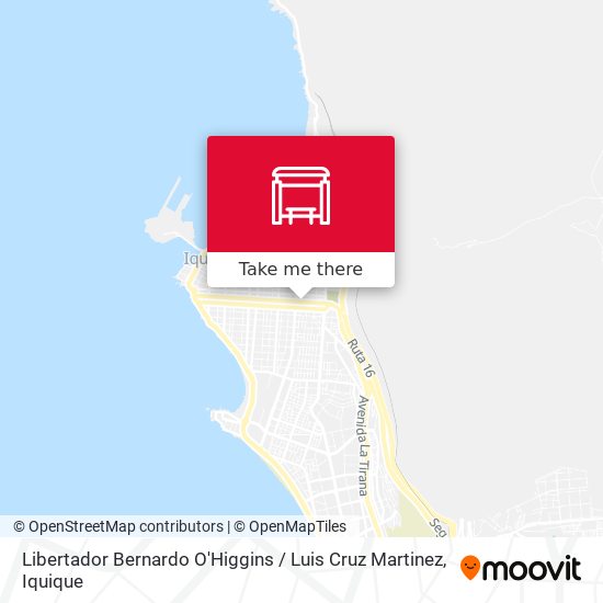 Libertador Bernardo O'Higgins / Luis Cruz Martinez map