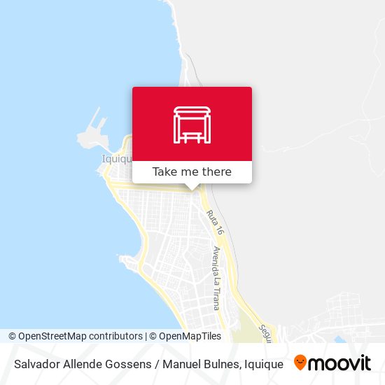 Salvador Allende Gossens / Manuel Bulnes map