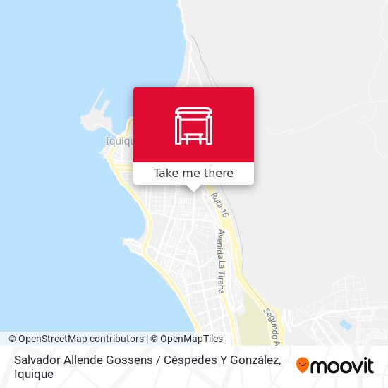 Salvador Allende Gossens / Céspedes Y González map