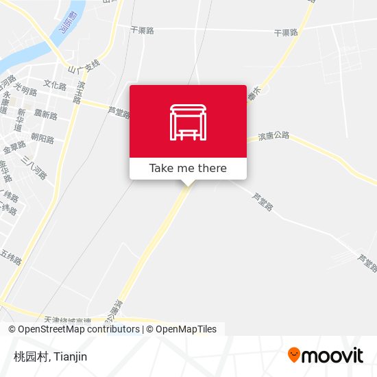 桃园村 map