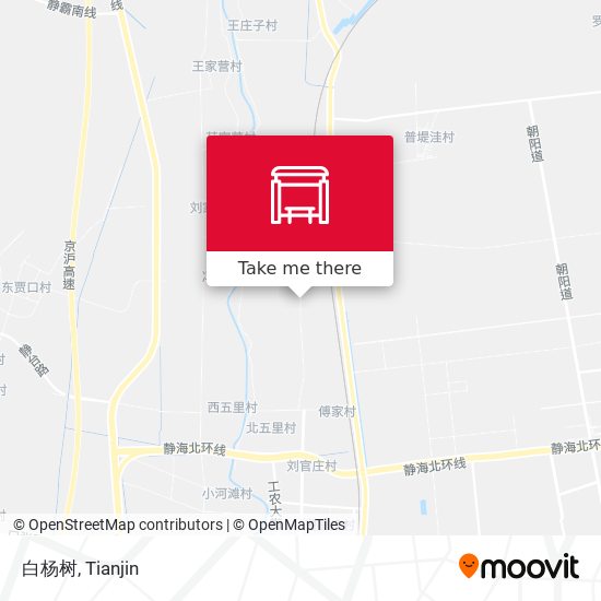 白杨树 map