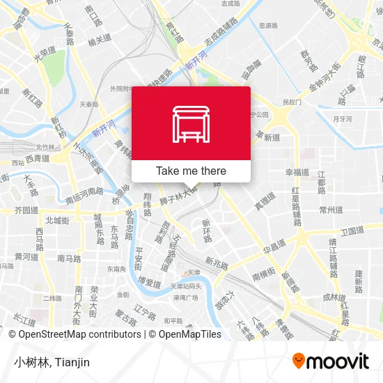 小树林 map