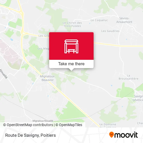 Route De Savigny map