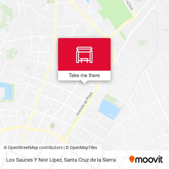 Los Sauces Y Noir Lípez map