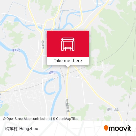 临东村 map