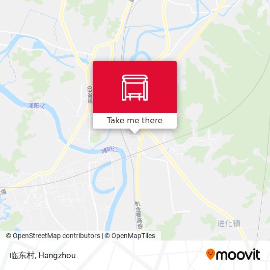 临东村 map