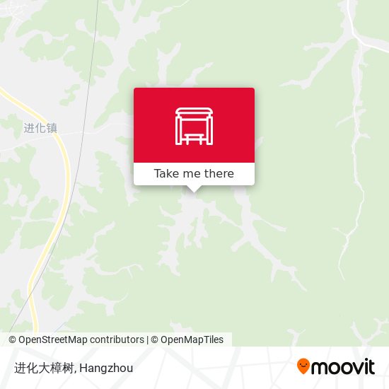 进化大樟树 map