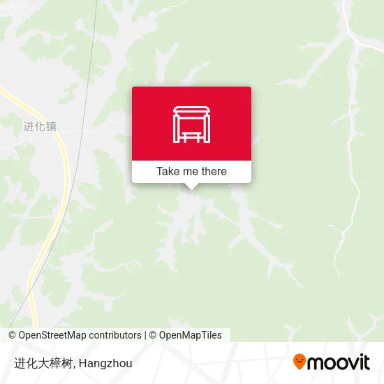 进化大樟树 map