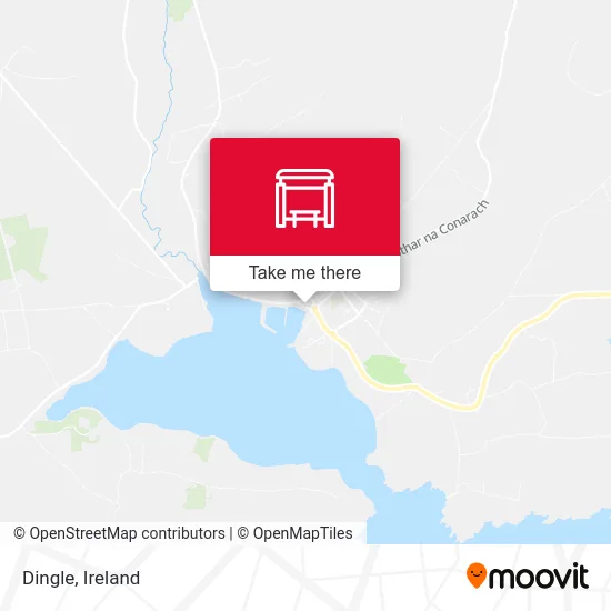 Dingle map