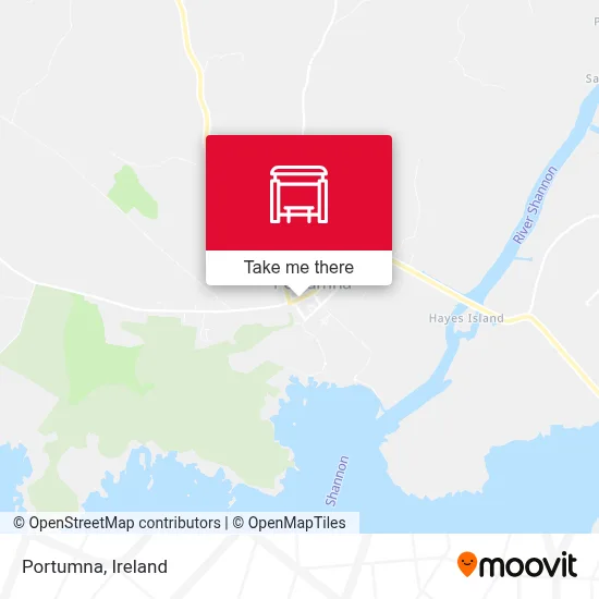 Portumna map