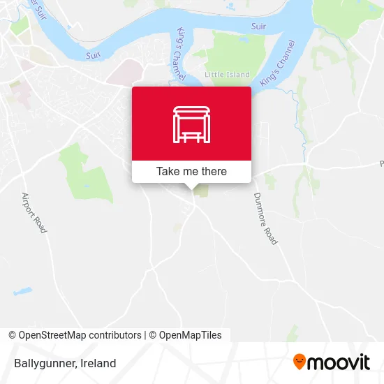 Ballygunner map