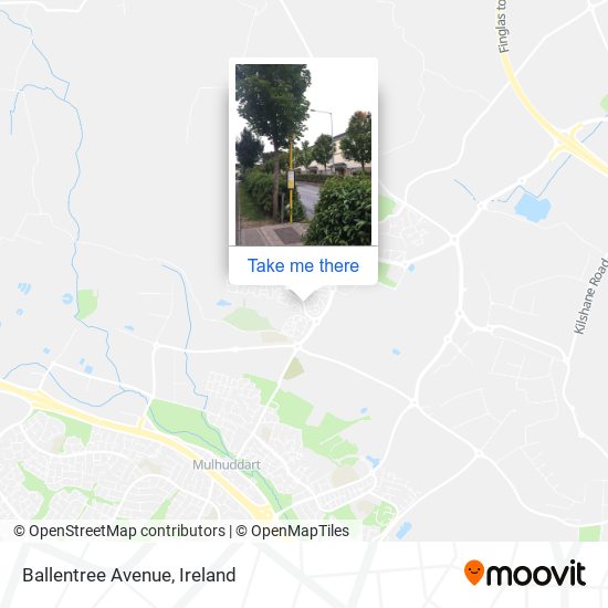 Ballentree Avenue map