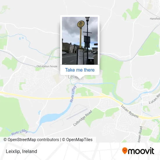 Leixlip plan