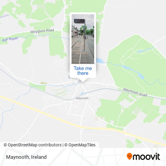 Maynooth plan