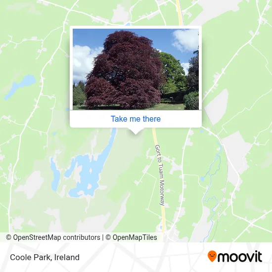 Coole Park map