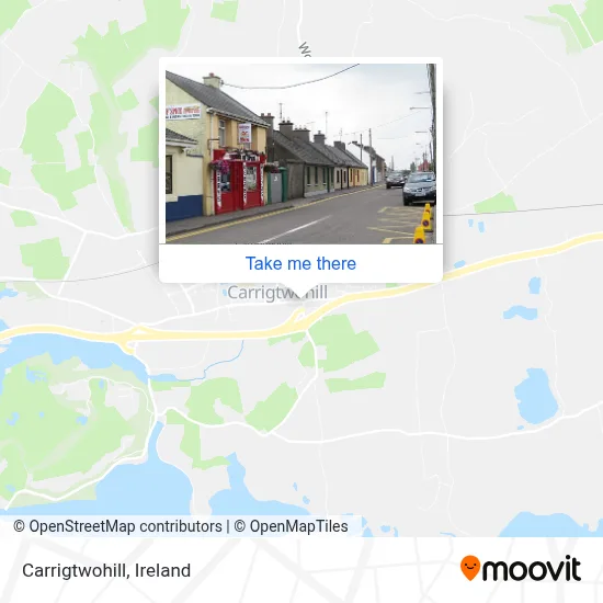 Carrigtwohill map